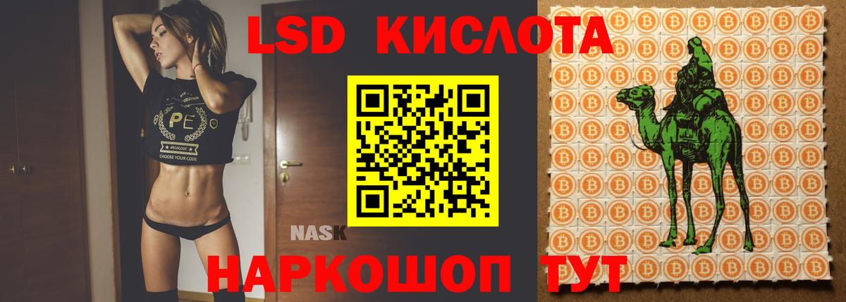 omg как зайти  ЛСД экстази ecstasy  ЛСД экстази ecstasy  Вход с VPN  Грязи 