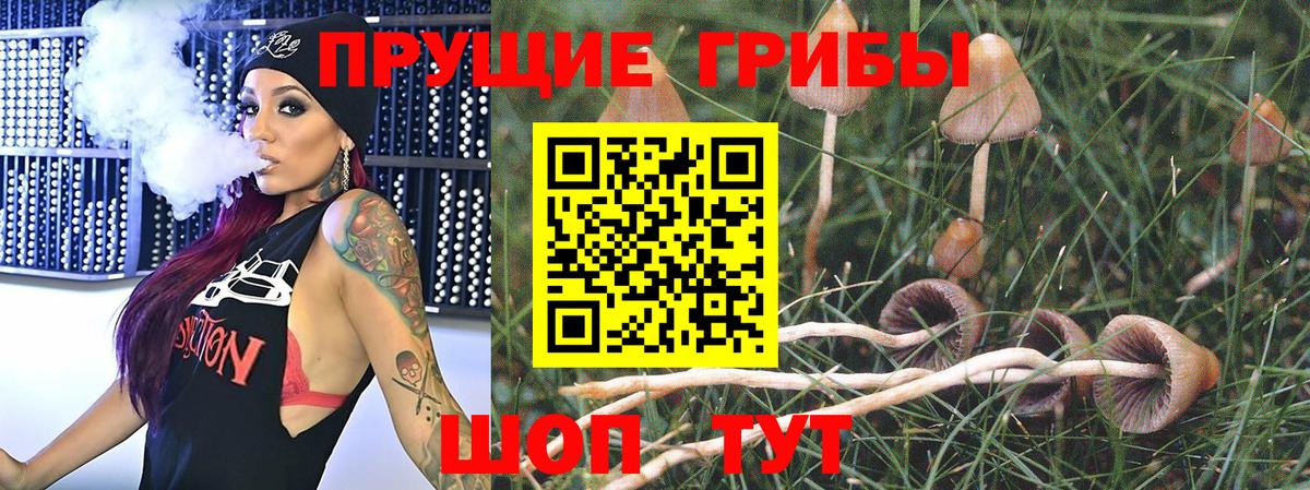 Псилоцибиновые грибы прущие грибы  Вход с VPN  Грязи 