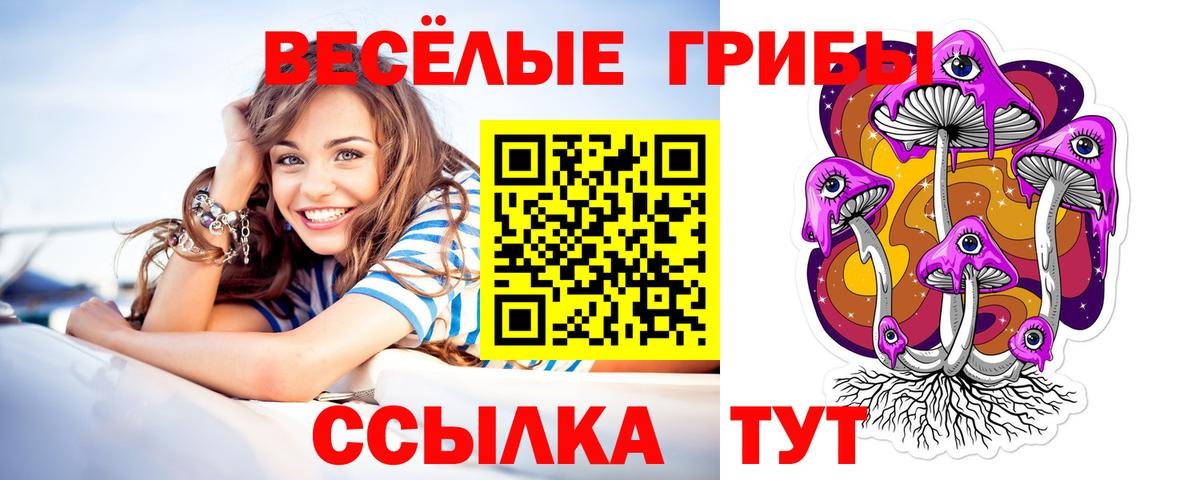 Галлюциногенные грибы мицелий Грязи